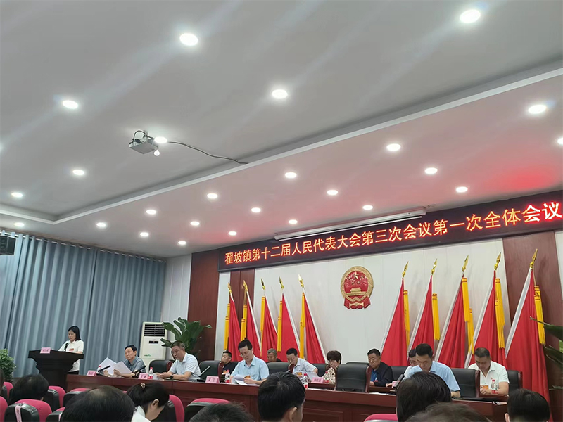 全面學(xué)習(xí)領(lǐng)會(huì)精神 凝心聚力謀發(fā)展